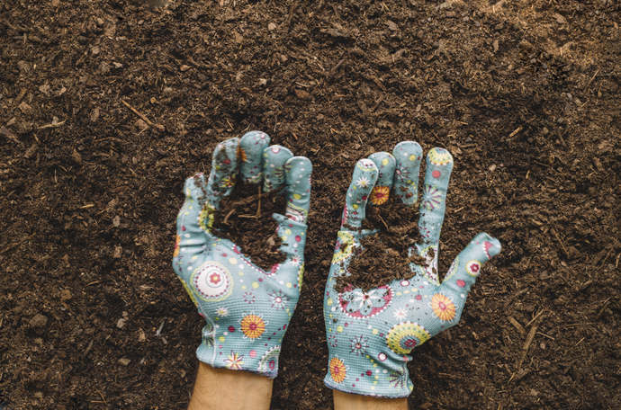 BONSAI, UNA DIETA EQUILIBRADA