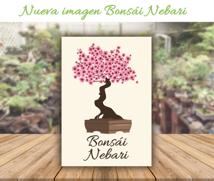 NUEVO LOGO BONSÁI NEBARI