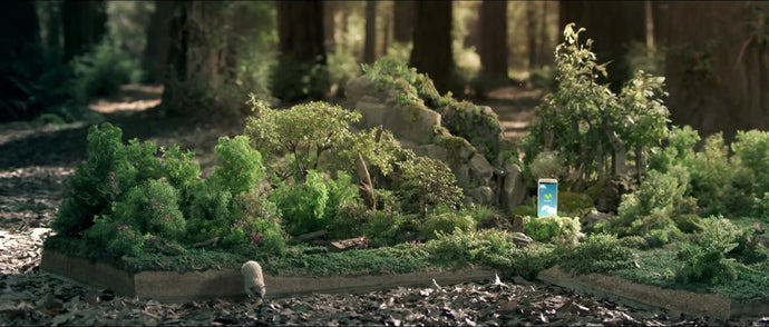 LOS BONSÁIS DE NUESTRO JARDÍN EN EL COMERCIAL DE MOVISTAR